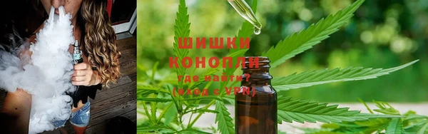 гидропоника Бородино