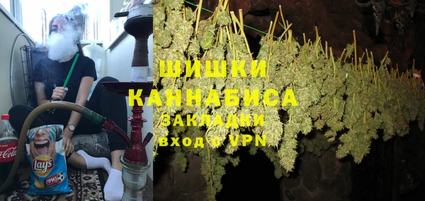 гидропоника Бородино