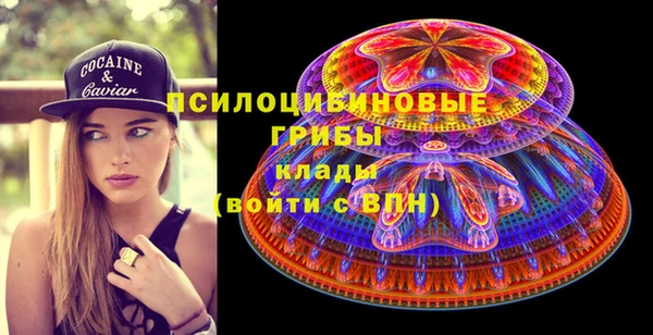 гидропоника Бородино