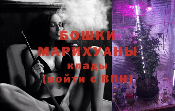 гидропоника Бородино