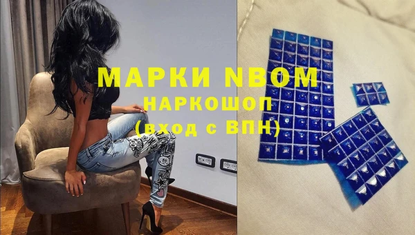гидропоника Бородино