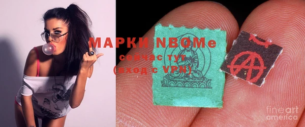 гидропоника Бородино