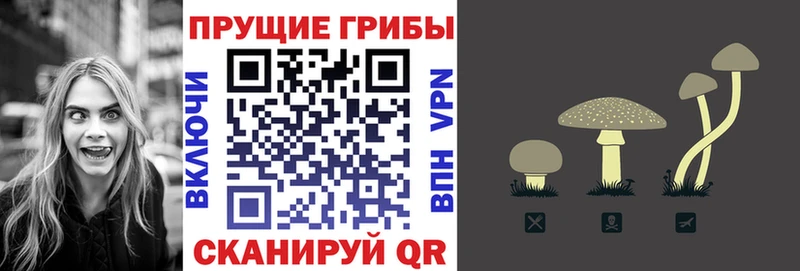 купить закладку  omg как зайти  Псилоцибиновые грибы прущие грибы  Нытва 